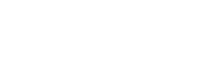 cyberConnect